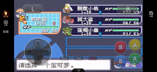 口袋妖怪究极绿宝石5.5疯子模式一周目卡纳兹岩石系道馆攻略_DD220游戏联盟