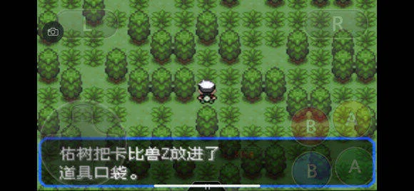 口袋妖怪究极绿宝石5.5魔幻森林走法攻略_DD220游戏联盟