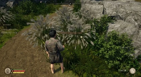 战国王朝鸟蛋获取方法 鸟蛋在哪拿_DD220游戏联盟