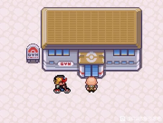 口袋妖怪燃之智护身金币获取地点 护身金币在哪_DD220游戏联盟