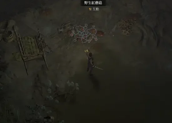 暗黑破坏神4红色蘑菇在哪 红色蘑菇位置分享_DD220游戏联盟