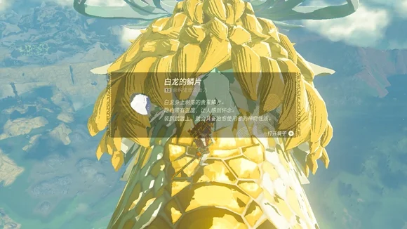 塞尔达传说王国之泪白龙的鳞片获取方法_DD220游戏联盟