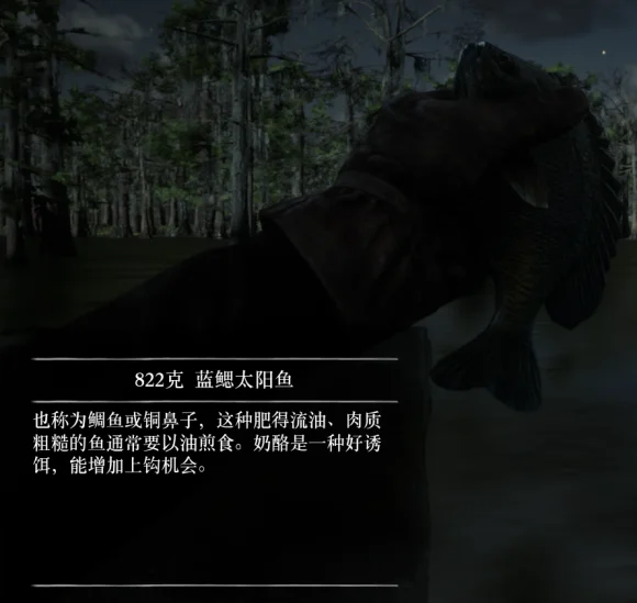 荒野大镖客2全鱼类图鉴 全鱼类分布地点_DD220游戏联盟