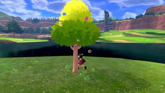 宝可梦Home导入图鉴中宝可梦方法 怎么把图鉴中的宝可梦导入_DD220游戏联盟