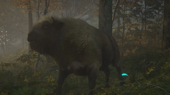 猎人荒野的呼唤欧洲野牛点位分享  欧洲野牛狩猎攻略_DD220游戏联盟