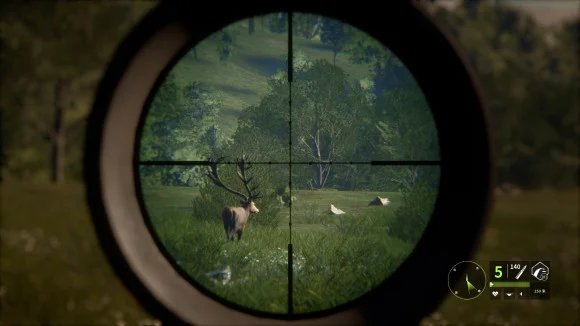 猎人荒野的召唤赤鹿狩猎攻略 西班牙赤鹿点位大全_DD220游戏联盟