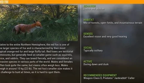 猎人荒野的呼唤狐狸在哪? 狐狸剧情任务攻略_DD220游戏联盟