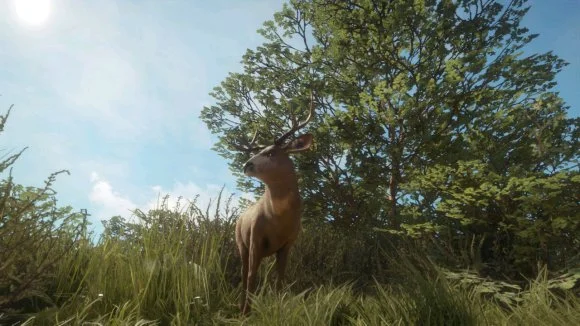 猎人荒野的召唤骡鹿狩猎点位大全 南美洲骡鹿狩猎攻略_DD220游戏联盟