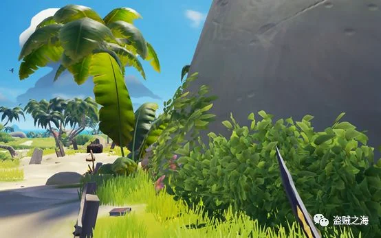 盗贼之海竞技场pvp全方位攻略 竞技场入门指南_DD220游戏联盟